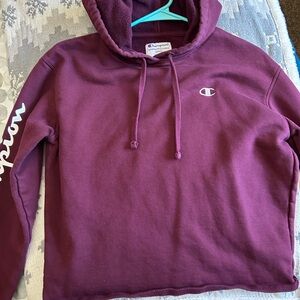 Champion Women's Purple Hoodie Sweater